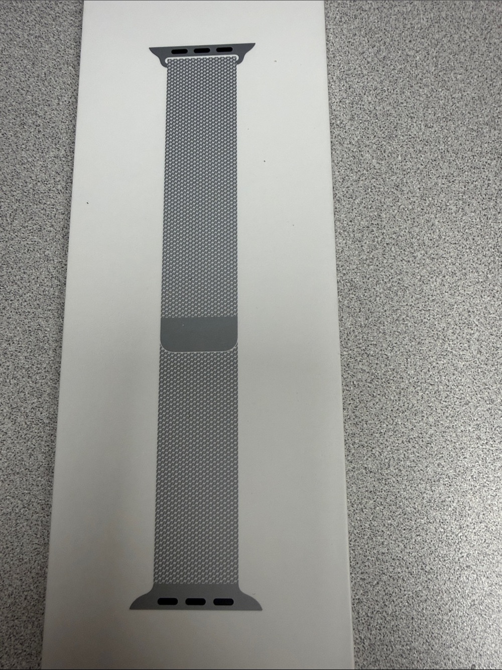 Apple Silver Milanese Loop Watch Band
